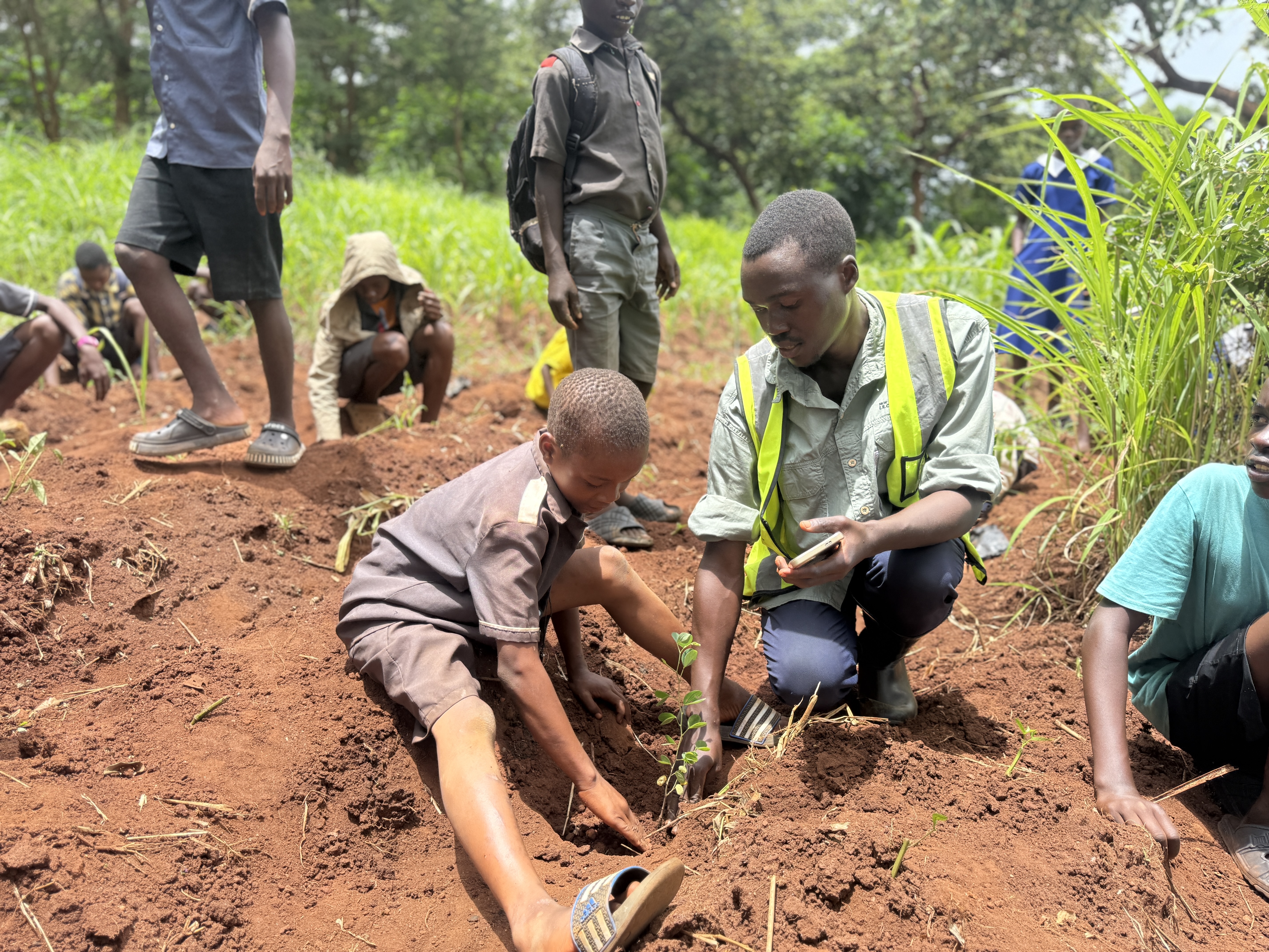 Tree Planting Initiative